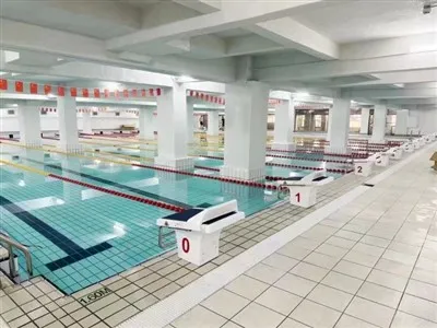 Starting Block Swimming Pool